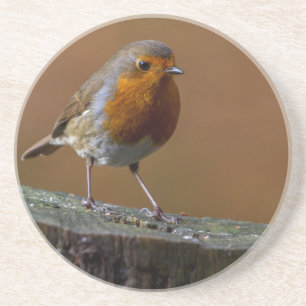 Robin Redbreast Coaster