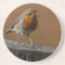 Robin Redbreast