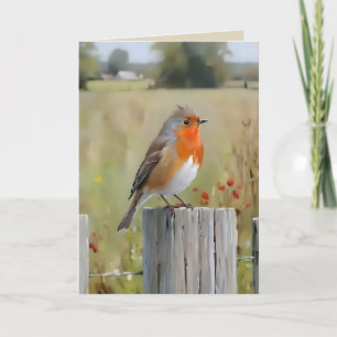 Robin Redbreast Greetings Card