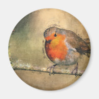 Robin Redbreast