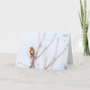 Robin Redbreast Note Card