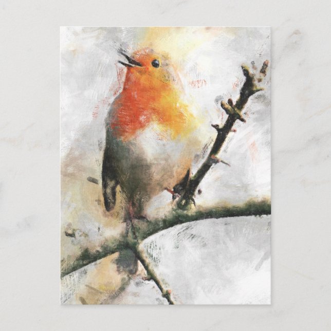 Robin Redbreast Postcard (Front)