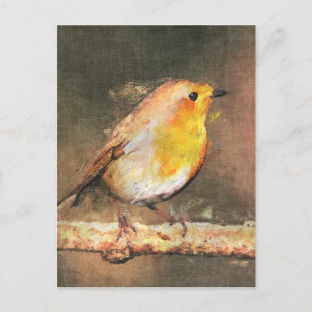 Robin Redbreast Postcard (Front)