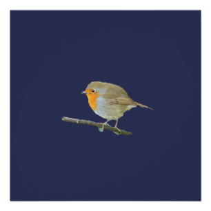 Robin Redbreast Poster