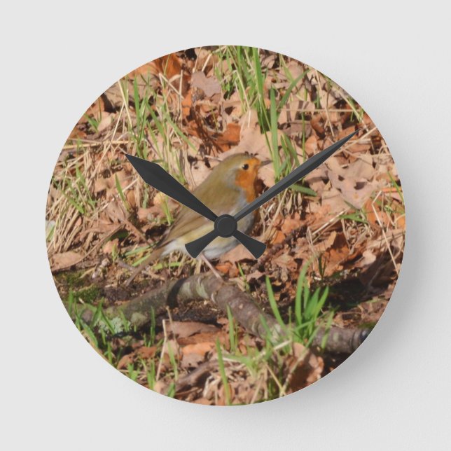 Robin Redbreast Round Clock (Front)