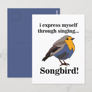 Robin Redbreast Songbird Postcard