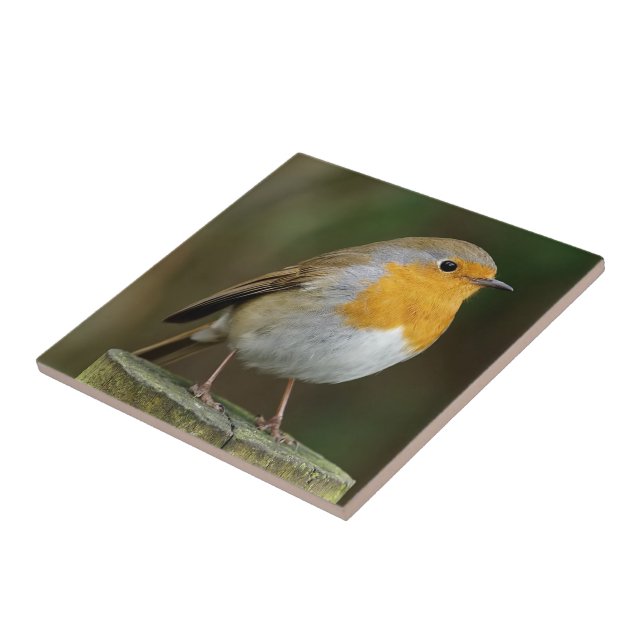 Robin Redbreast Tile (Side)