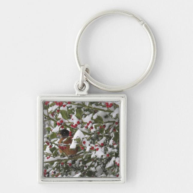 robin sheltering in a holly tree after a snow key ring (Front)
