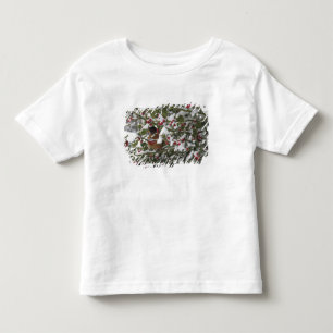 robin sheltering in a holly tree after a snow toddler T-Shirt