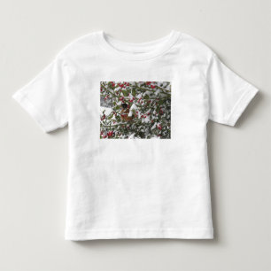 robin sheltering in a holly tree after a snow toddler T-Shirt