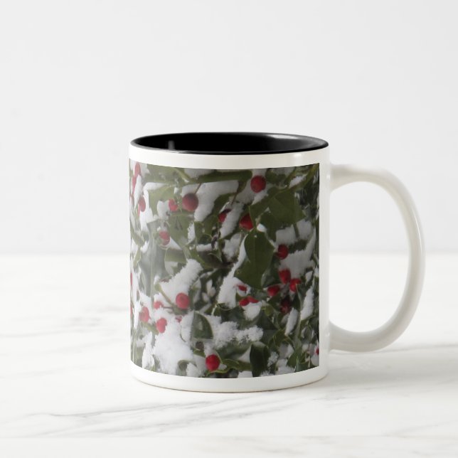 robin sheltering in a holly tree after a snow Two-Tone coffee mug (Right)