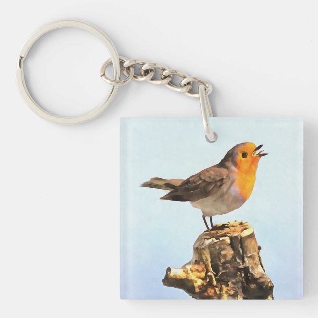 Robin singing  key ring (Front)