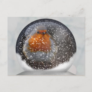 Robin Snowglobe Postcard