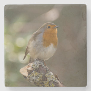 Robin Stone Coaster