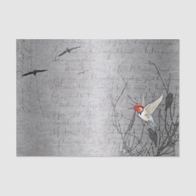 Robin Takes Flight Tissue Paper (Front)