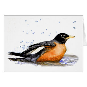 Robin Taking a Bath