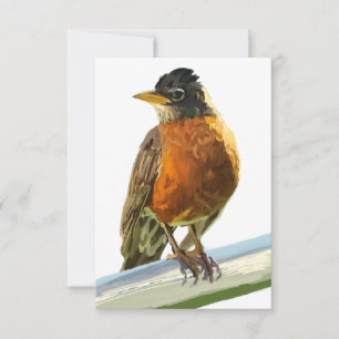 Robin Thank You Card