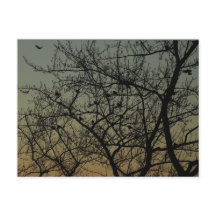 "Robin Tree at Dawn"/Robin