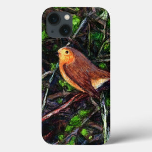 Robin Tweet tweet  iPhone 13 Case
