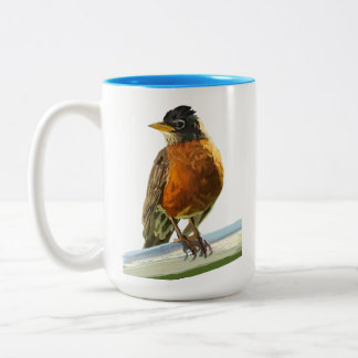 Robin Two-Tone Coffee Mug