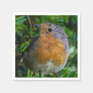 Robin up close napkins