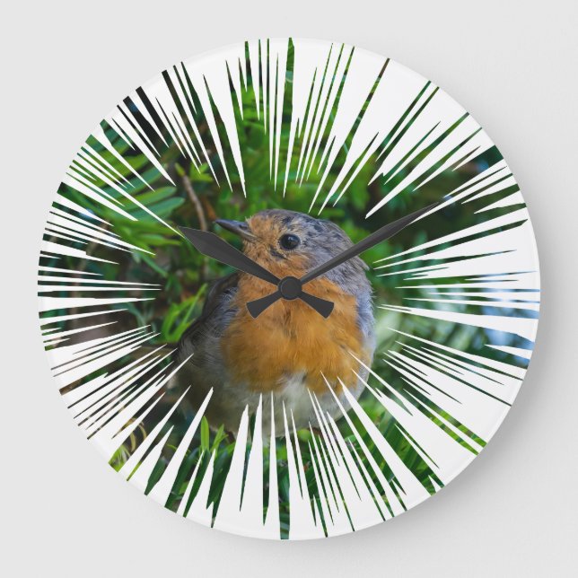 Robin wall clock (Front)