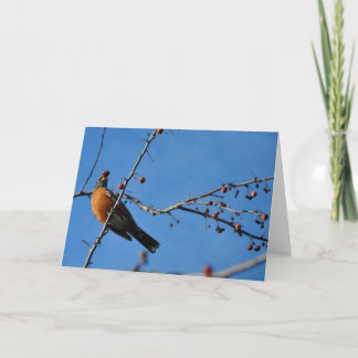 Robin with Berry in Beak - Greeting Card