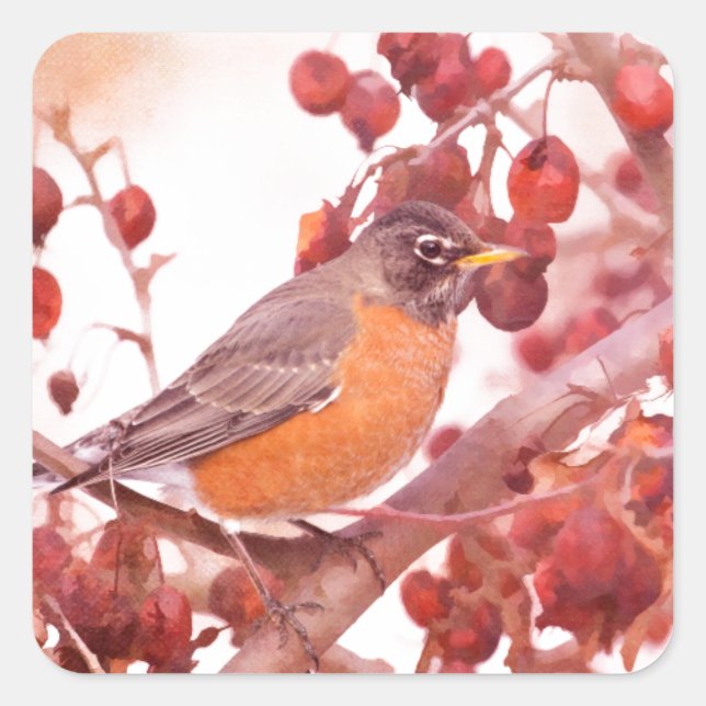 Robin With Red Berries Square Sticker (Front)
