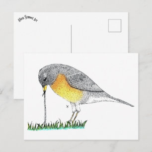 Robin with Worm Postcard