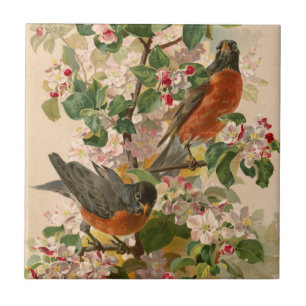 Robins 1896 ceramic tile