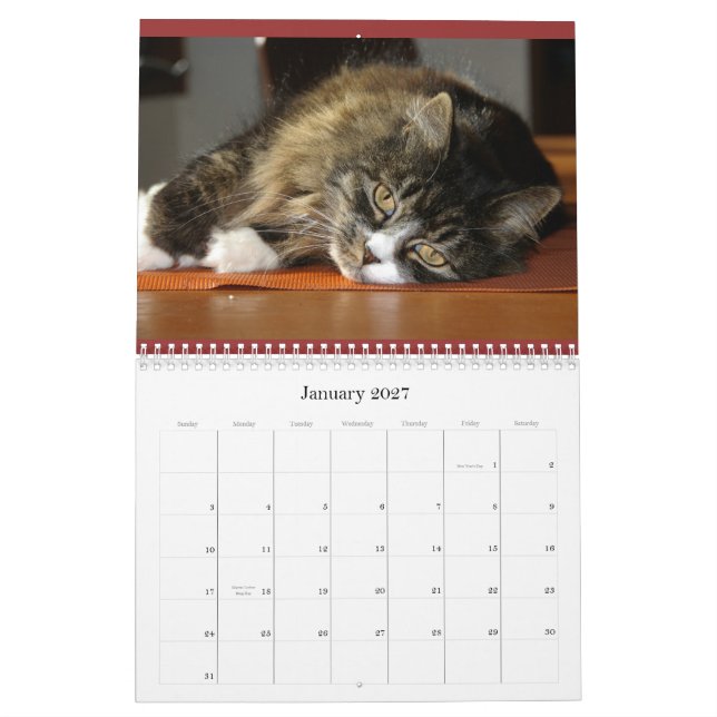 Robin's calender calendar (Jan 2027)
