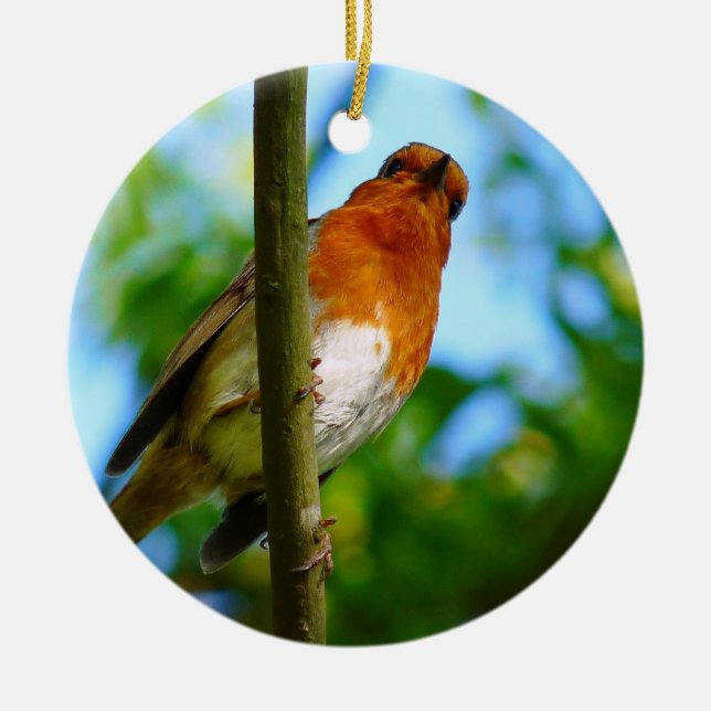 ROBINS CERAMIC TREE DECORATION (Front)