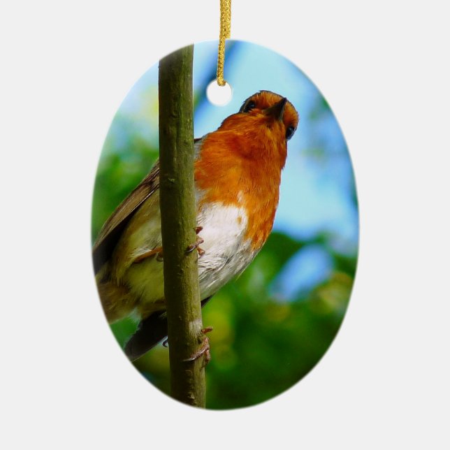 ROBINS CERAMIC TREE DECORATION (Front)