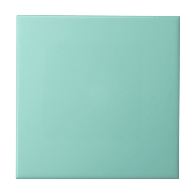 Robin's Egg Blue Ceramic Tile (Front)