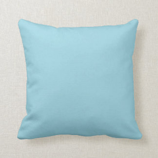 Robins Egg Blue Cushion