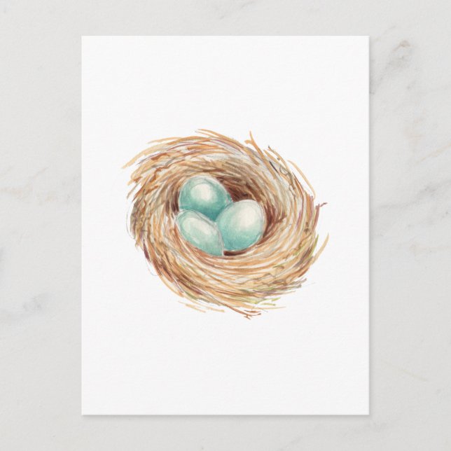 Robin's Egg Nest Blue Watercolor Postcard (Front)