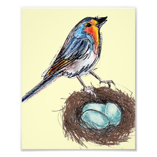 Robin's Egg Nest print art Robin Bird 8x10 (Front)