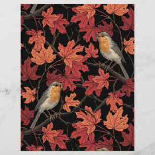 Robins in maple tree