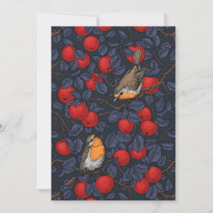 Robins in the apple tree/blue and red 