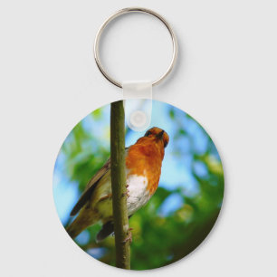 ROBINS KEY RING