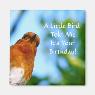 ROBINS MAGNET