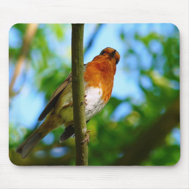 ROBINS MOUSE PAD (Front)