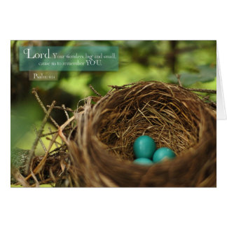 Robin's Nest