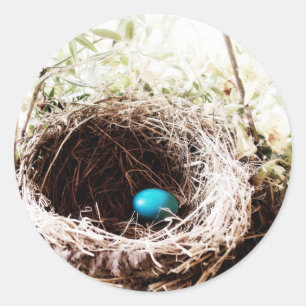 Robin's Nest Classic Round Sticker
