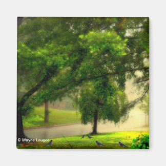 Robins on the Lawn Magnet