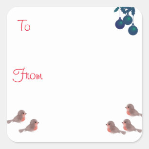 Robins Square Sticker