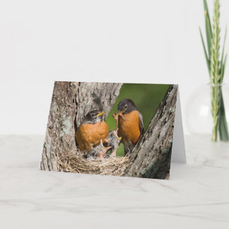 Robins V Greeting Card