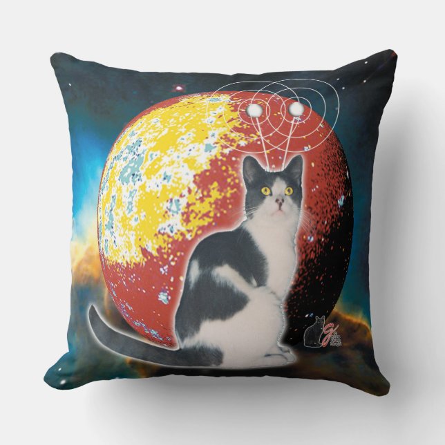 Robo-Cat Hobo Cushion (Front)
