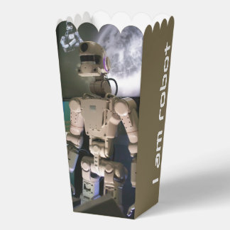 Robot Favour Box