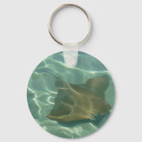 Rochen im Meer